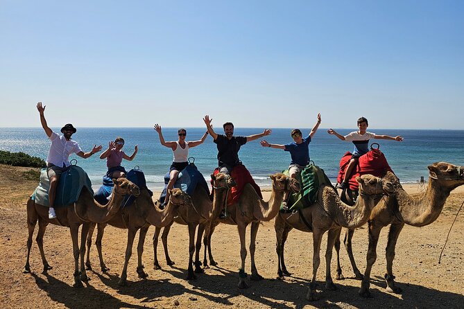 Private Day Tour in Gibraltar and Tangier, Morocco from Malaga - Gibraltar by land and La Roca views, with monkeys as the star