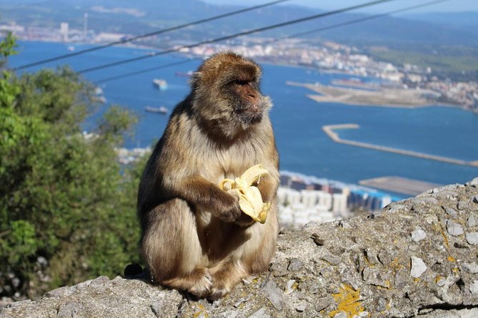 Private Day Trip to Gibraltar from Malaga or Marbella - Price and value, where the money goes