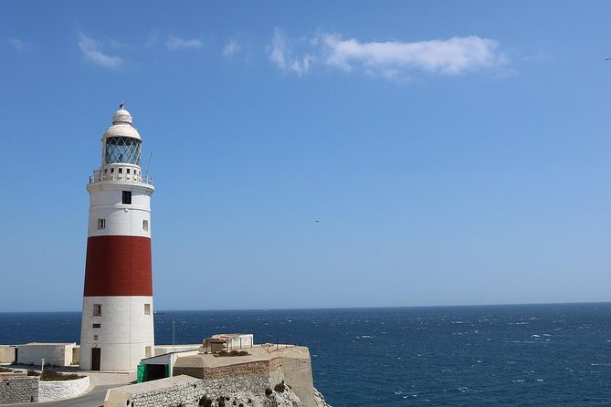 Private Full Day Tour of Gibraltar from Malaga or Marbella - Top of the Rock and the Upper Rock attractions: timing and expectations