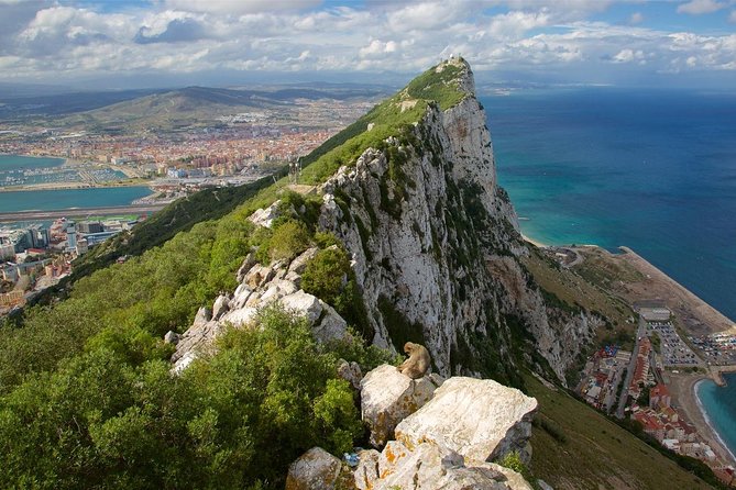 Private Full Day Tour of Gibraltar from Malaga or Marbella - Getting from Malaga or Marbella to Gibraltar without the drive