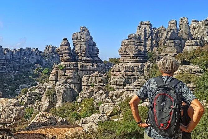 Private Guided Tour to Torcal de Antequera - Why El Torcal de Antequera is worth the trip from Málaga