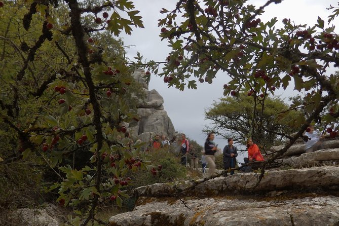 Private Guided Tour to Torcal de Antequera - What you learn while you walk, and why it changes the whole visit