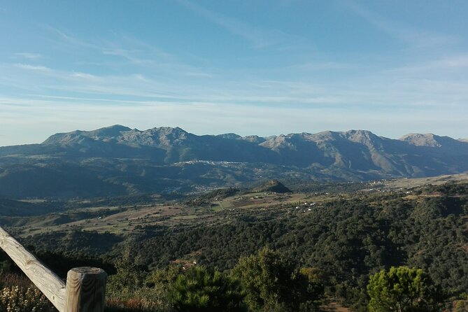 Private half-day tour of Ronda and the White Villages with native - Snacks included: what local and seasonal really means on the ground