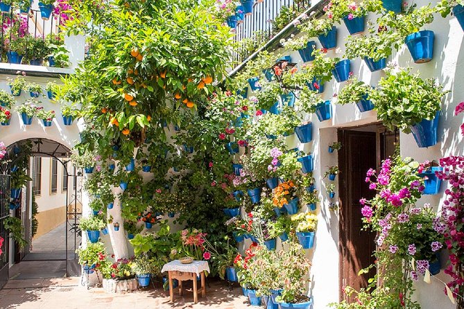 Private Multiday: Cordoba,Granada, Alhambra & Seville from Malaga - Should you book this Malaga private trip to Cordoba, Granada, and Seville?