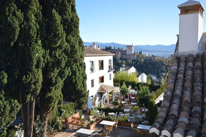Private tour from Malaga to the Alhambra Palace and Granada - What to focus on during your guided walk