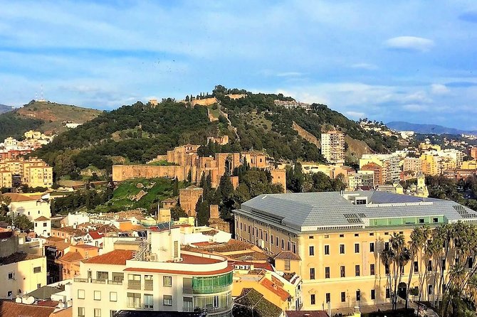 Private tour in Malaga from Costa del Sol - Malaga Cathedral exterior: architecture you can actually spot