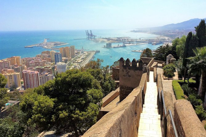 Private tour in Malaga from Costa del Sol - Museo Picasso Malaga: birthplace, baptism church, and a route you can follow