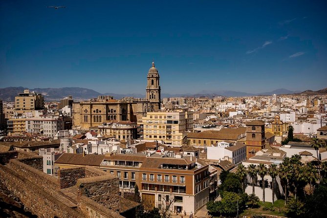 Private Walking Tour in Málaga - Logistics that keep the walk smooth