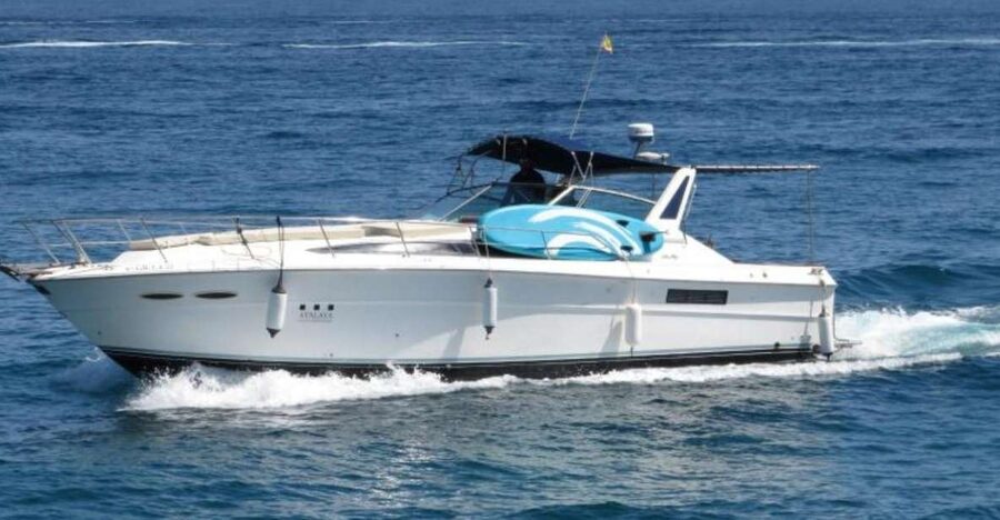 PUERTO BANUS: YACHT RENTAL FOR GROUP 2H - Dolphin Sightings: How to Set Expectations Like a Pro