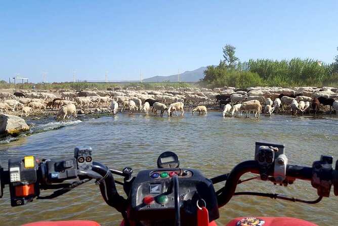 Quad Bikes for Guided Tours. - Quad Aventura in Malaga: what 2 hours really delivers
