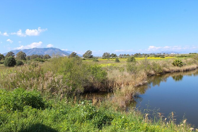 Rent a Trekking bike: Full Day 24 hours - The Guadalhorce River Estuary Natural Area: Birds, Lagoons, and Marshlands