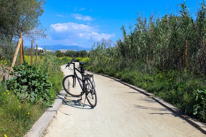 Rent a Trekking bike: Full Day 24 hours - Practical Tips for Your 24 Hours in Malaga on Two Wheels