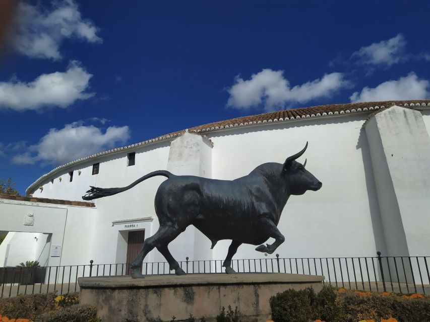 Ronda: 2-Hour Private Walking Tour - Plaza de la Duquesa de Parcent, the town’s power points, and a final virgin