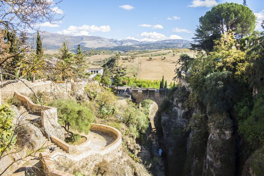 Ronda: Guided Walking Tour - Plaza de Toros Square: More Than a Photo Stop