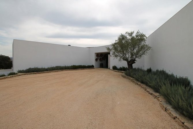Ronda Private Full Day Wine Tour - The smart part: a private day that starts at your door