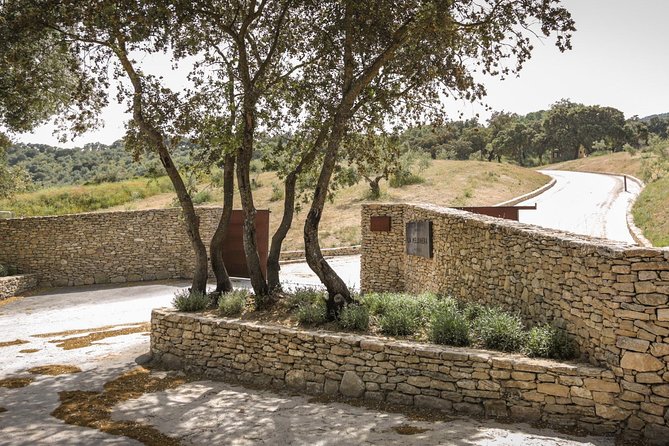 Ronda Private Full Day Wine Tour - Pace and comfort: how this day actually feels