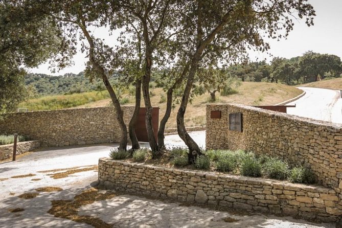 Ronda Private Wine Tour + Free Time in Ronda - Practical Tips for a Smooth Ronda Day