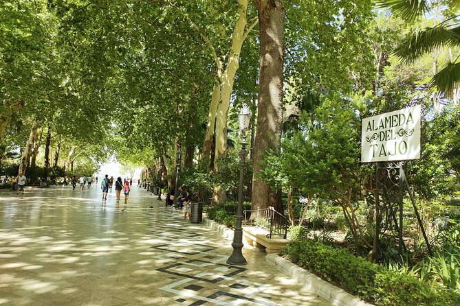 Ronda, the dreamt city: Private Walking Tour - Getting oriented from the outside, then getting the stories