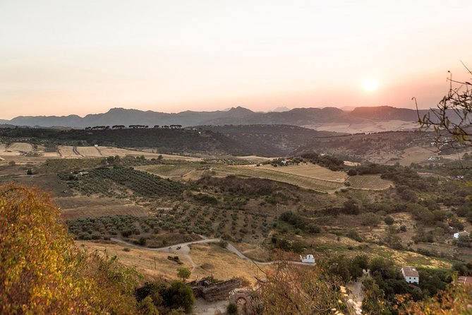 Ronda Village Guided Tour from Costa del Sol - Free time in Ronda, lunch on your own, and how to avoid feeling rushed