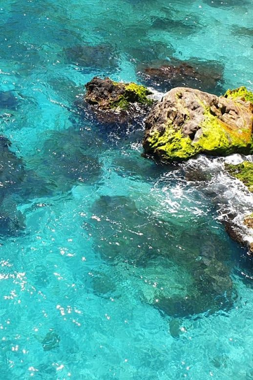 Ruta libre en paddel surf por la cascada de Nerja y Maro 😍 - Key points before you go