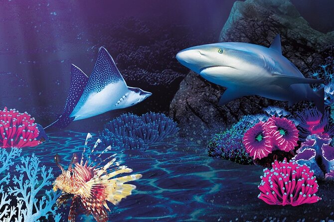 Sealife Benalmadena Entrance Ticket - Interactive zone: rockpool learning without the wet chaos