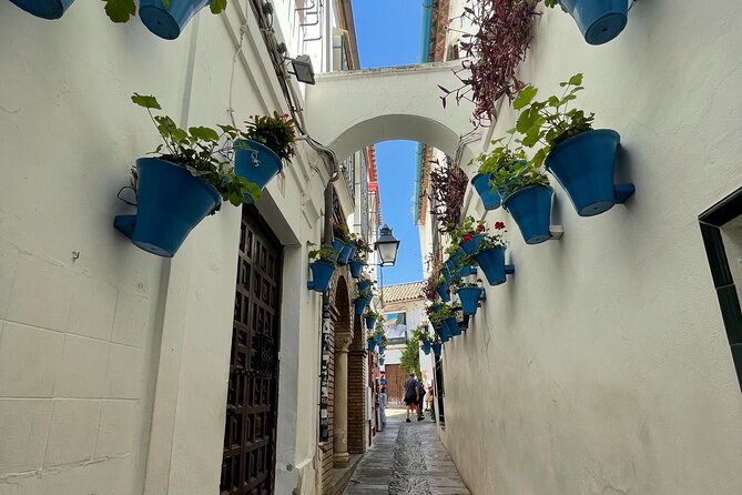 Semi Private Tour to Córdoba from Nerja - La Judería with a guided walk that helps you read the streets