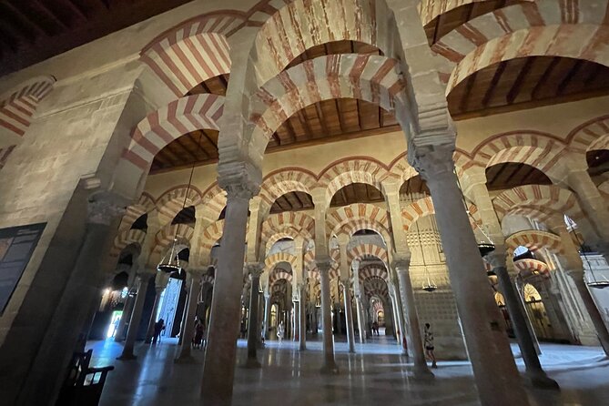 Semi Private Tour to Córdoba from Nerja - Alcázar de los Reyes Cristianos tickets included, and why that matters