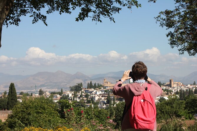 Semi Private Tour to the Alhambra from Nerja - Pickup, transportation, and the big blue van rule