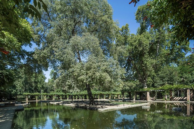 Seville Day Trip with Cathedral Entrance from Malaga - Free time in Seville: lunch planning decides how happy you feel