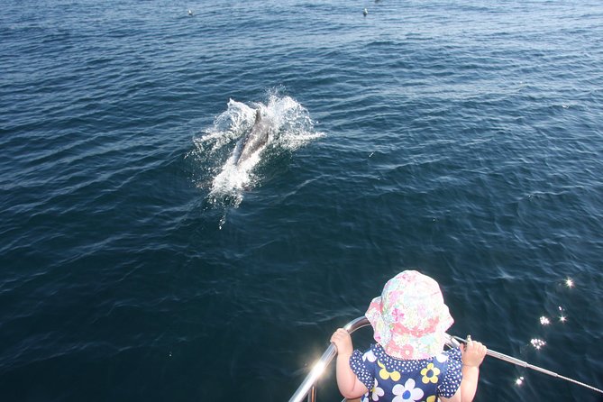 Sighting Dolphin Trip Estepona, Marbella - The 1-hour route: coast views, then high seas for dolphins
