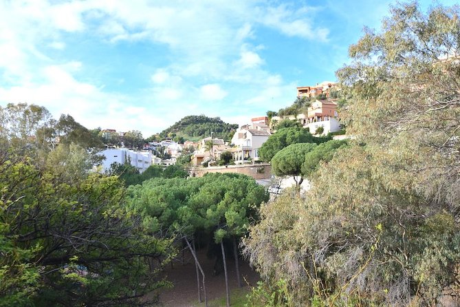 Spanish Civil War Private Walking Tour in Malaga - What Juan Diego’s style gets right, and why it hits emotionally