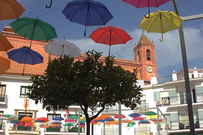 Sun and Wine Route - Small group, wine tasting and tapas included - Four wines and tapas lunch: what makes the pairing feel worth it