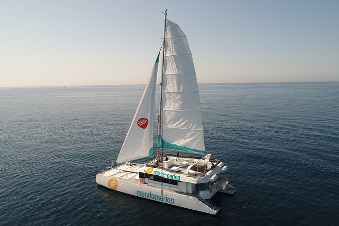 Sunset or night catamaran tour from Malaga - Duration and how to plan your evening around it