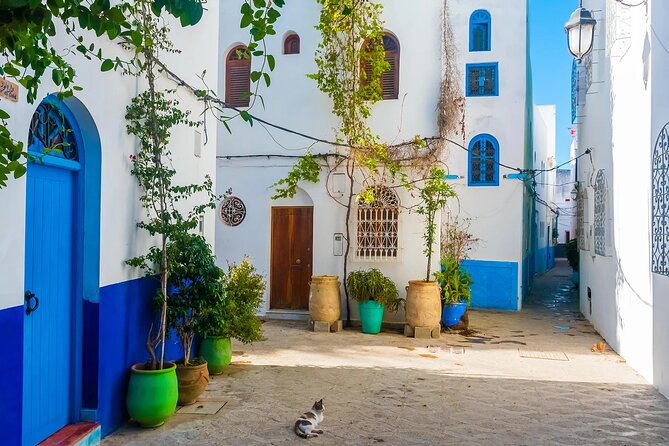 Tangier & Asilah Private Tour with from Malaga or Marbella - Medina of Tangier: A Maze for Shopping and Street-Side Watching