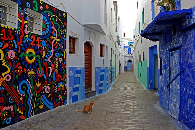 Tangier & Asilah Private Tour with from Malaga or Marbella - The Included Camel Ride and How the Day Stays Organized