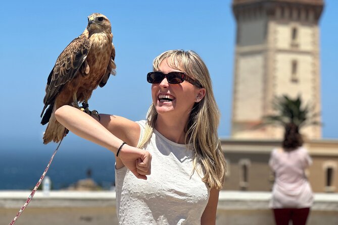 Tangier Luxury Private day trip from Malaga All inclusive - Marshan Royal Palace, Tangier Casbah, and Kasbah Museum: old Tangier in walking mode