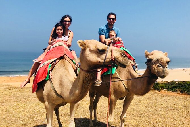 Tangier Private Tour from Malaga or Marbella w/ guide and driver - Medina of Tangier and the Casbah UNESCO stop: markets, alleys, and control of your time