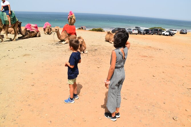 Tangier Private Tour from Malaga or Marbella w/ guide and driver - Cap Spartel viewpoint plus the included camel ride