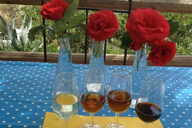Tapas & Sherry an Andalucian Gourmet Experience. - What the day looks like, from terrace welcome to full lunch