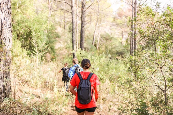 The Monks Trail: Mountain Hiking Adventure In Marbella - Why the Monks Trail feels special in Marbella