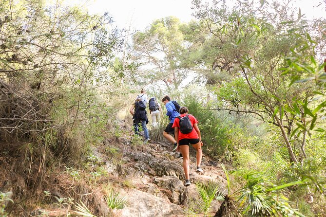 The Monks Trail: Mountain Hiking Adventure In Marbella - How hard is it really: pace, climbing, and fitness needs
