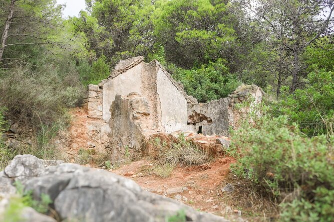The Monks Trail: Mountain Hiking Adventure In Marbella - Price and value for a 3-hour guided nature hike