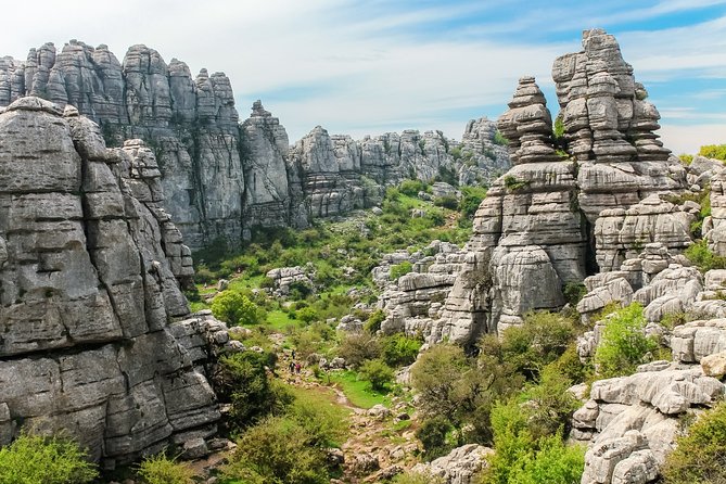 Torcal de Antequera Hiking Tour from Málaga - Málaga to Torcal: the 8:30 am van ride that sets the tone