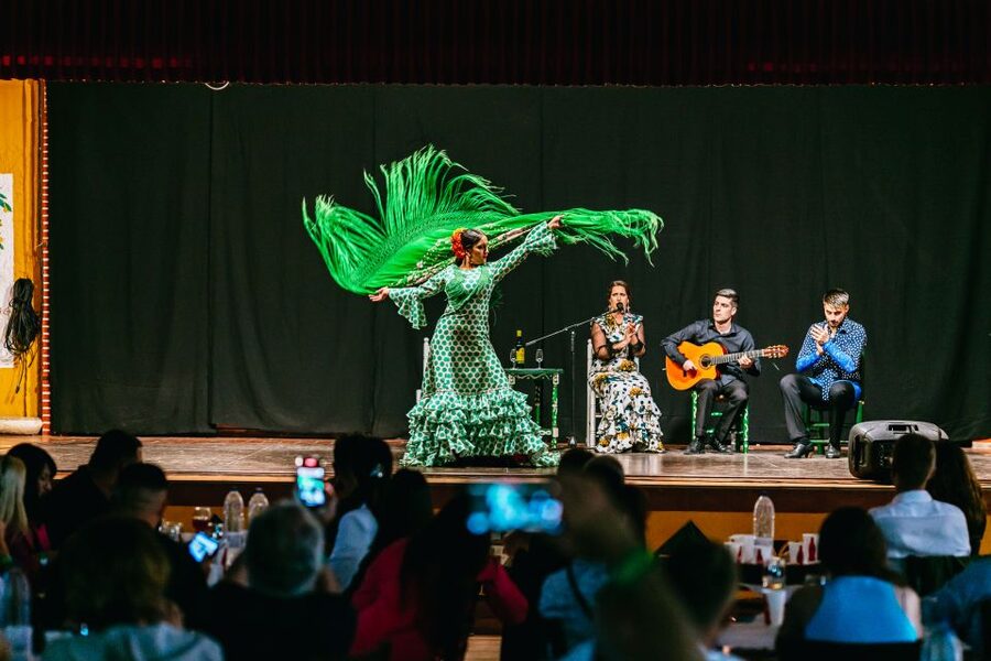 Torremolinos: Flamenco Show with Dinner and Drinks - The Flamenco Moment: 50 Minutes of Stage Passion