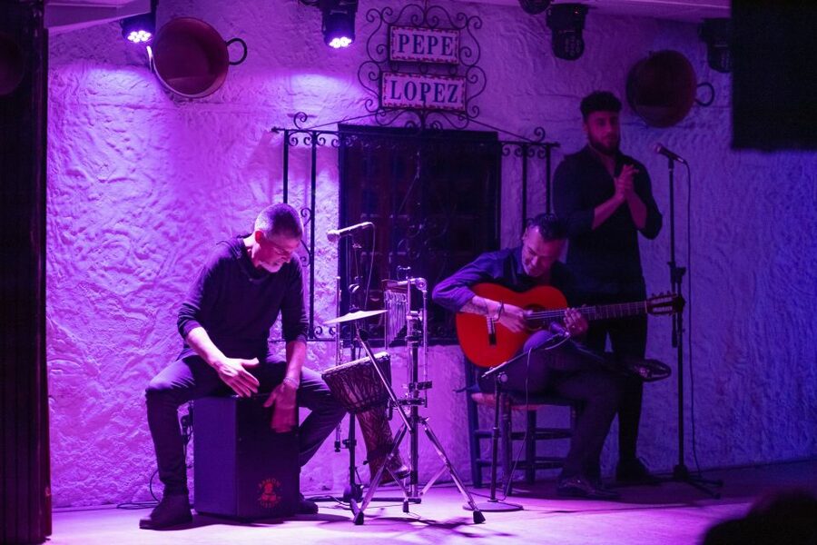 Torremolinos: Flamenco Show with Drinks - What to Watch During the Show: Passion, Precision, and Rhythm
