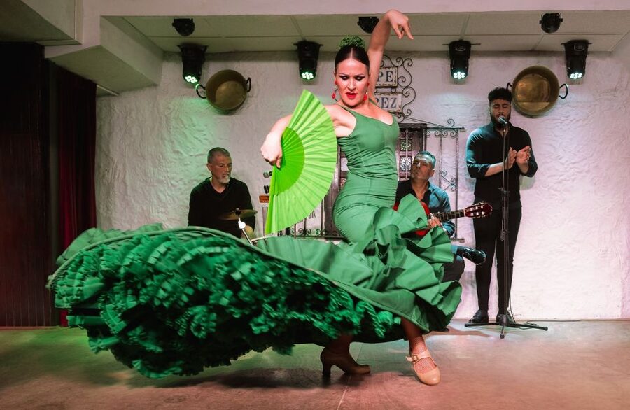 Torremolinos: Flamenco Show with Drinks - Price and Value at About $41 per Person
