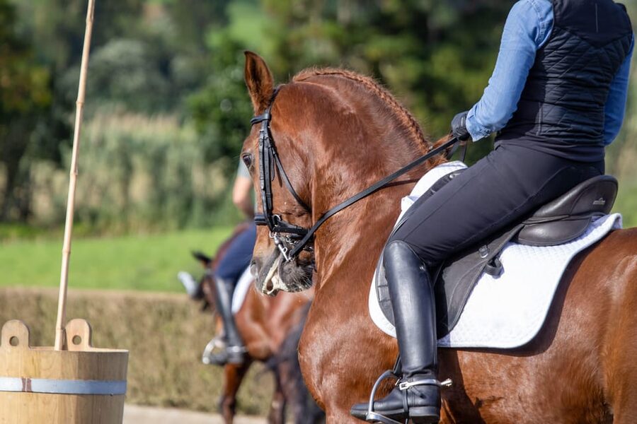 Torremolinos: Guided tour to stables of El Ranchito - Ritmo a Caballo timing: how the stables tour connects to the show