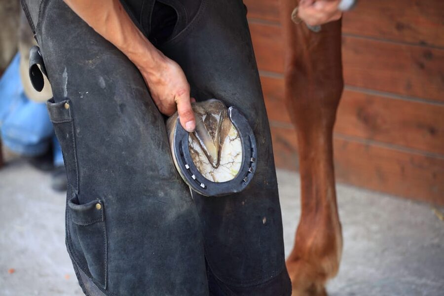 Torremolinos: Guided tour to stables of El Ranchito - Price and value: is $17 per person worth it?