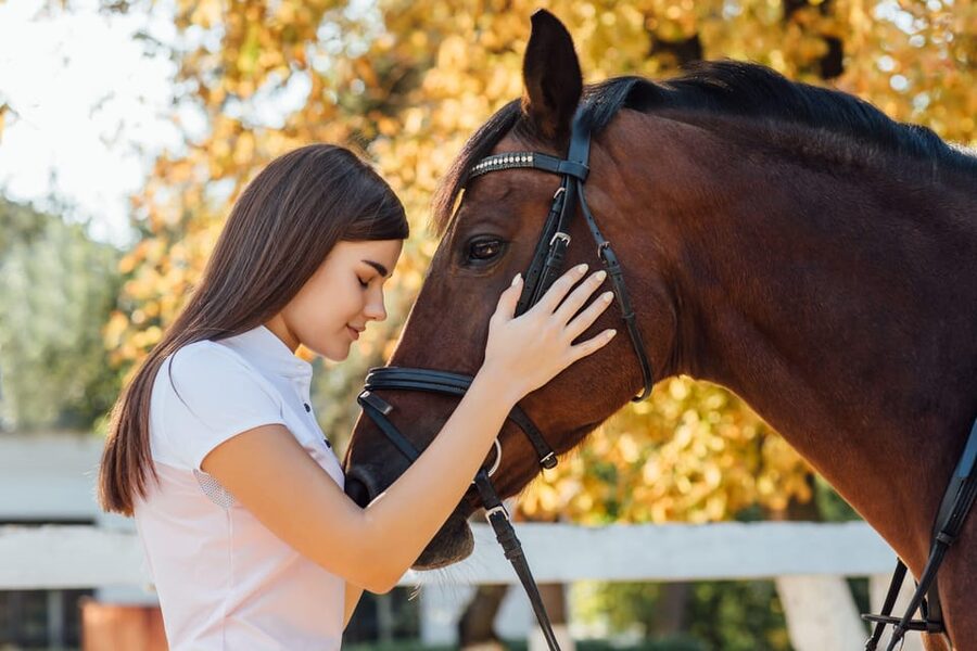 Torremolinos: Guided tour to stables of El Ranchito - The 30-minute stables tour, step by step