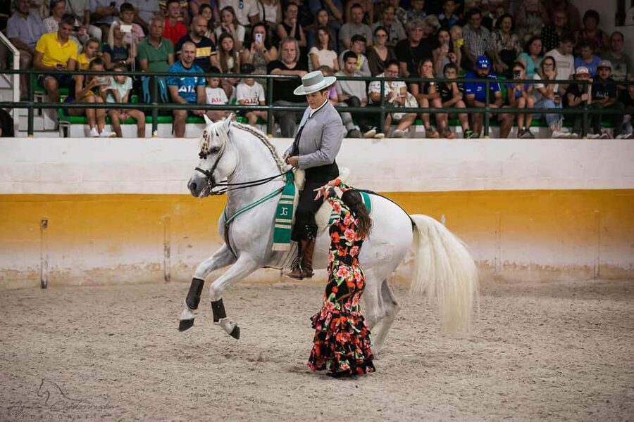 Torremolinos: Spanish horse show and flamenco with dinner option - Key highlights you’ll actually care about